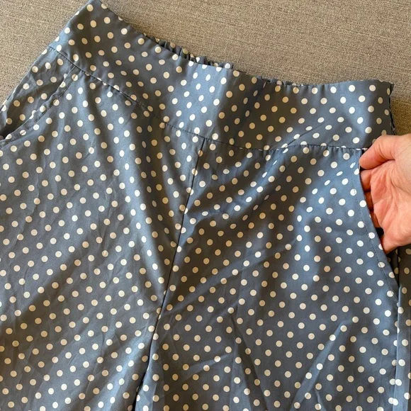 SHEIN Blue and White Polka Dot Pants - Picture 8 of 12